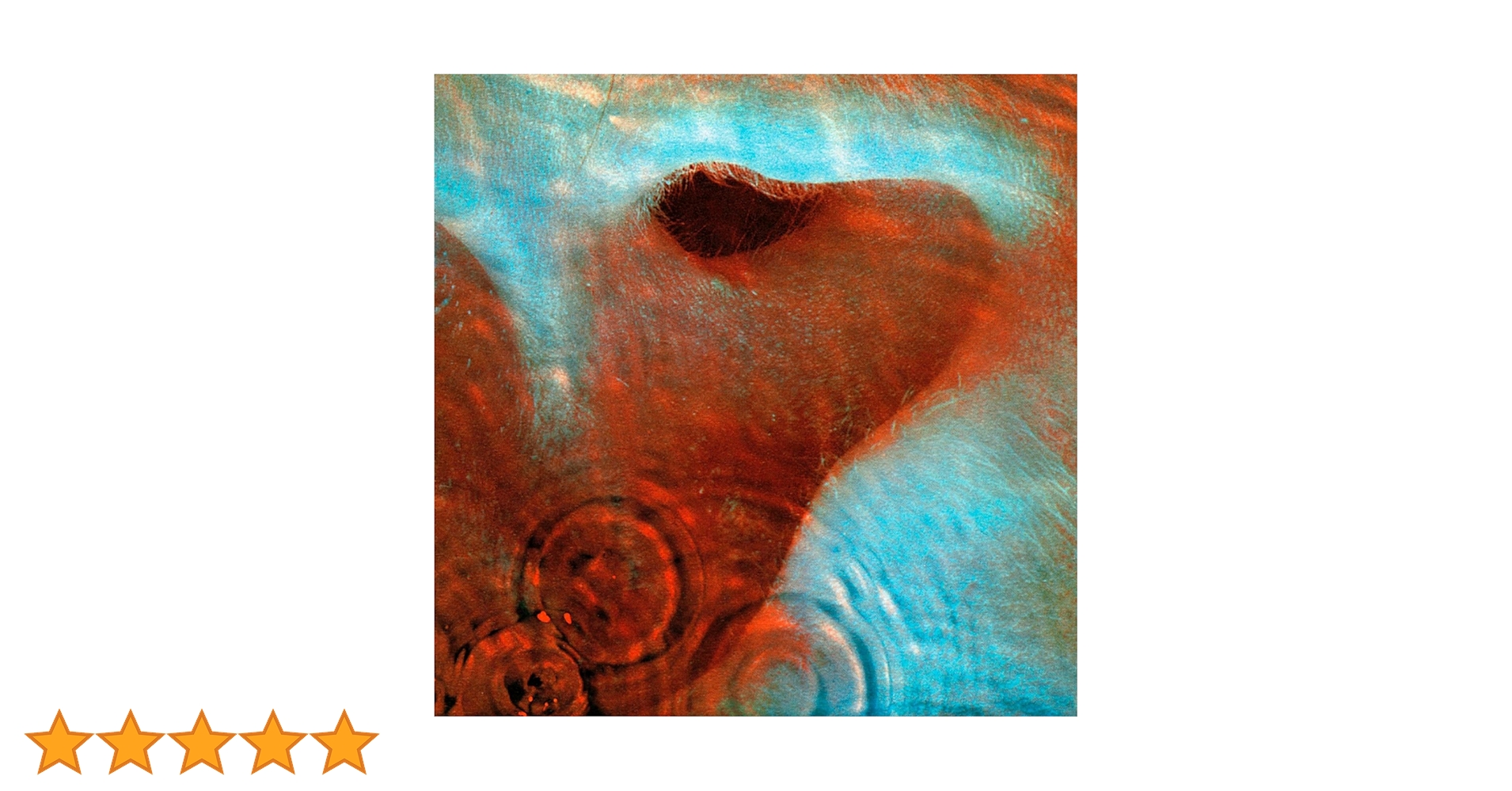 Meddle: Amazon.pl: Płyty CD i winylowe